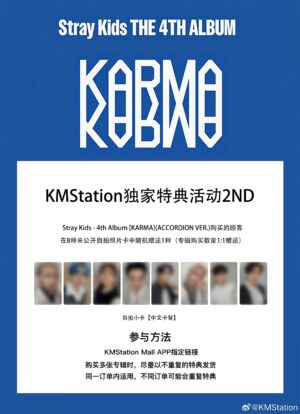 20CD031E85EB080C22D1339F89722943 【記録用】|Stray Kids(スキズ)KMS2.0