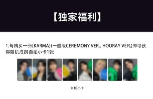 322B99D4E1001E3CBDB5A0B6B1406336 【記録用】Stray Kids スキズ kmsヨントン トレカ