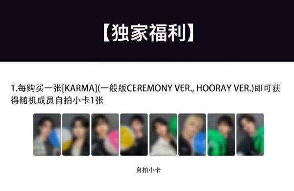 【記録用】Stray Kids スキズ kmsヨントン トレカ