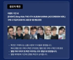 3FF69DE8B820BDAF905BF792B724D481 【在庫】Stray Kids スキズ karma fans ヨントン トレカ