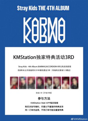 予約受付｜Stray Kids（スキズ）KMS3.0｜8枚以上