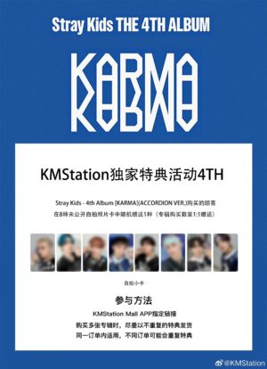 A36D183C5AFF2B0822C0E7EE521B67C5 予約受付|Stray Kids(スキズ)KMS4.0|1枚