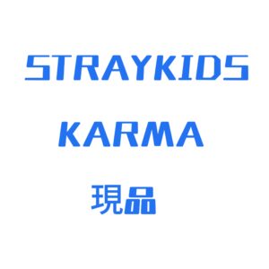 D6E4B4A198676229F6175921A59910A4 現品|1-2日発送|スキズ KARMA 特典